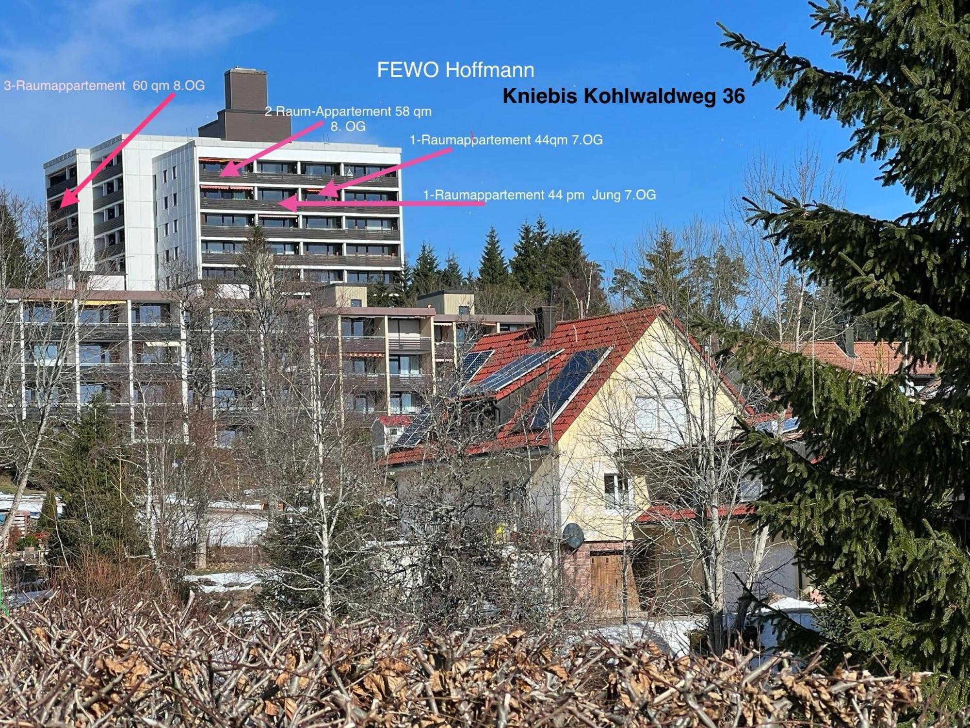 Ein-Raum Appartement Jung Freudenstadt-Kniebis Exterior foto